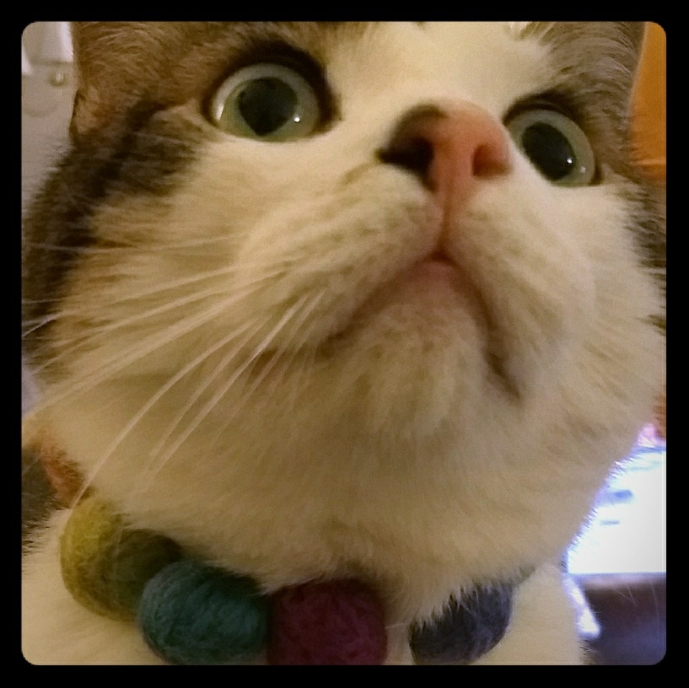 Vintage 'Jewels' and Non-Diamond Gemstone Care